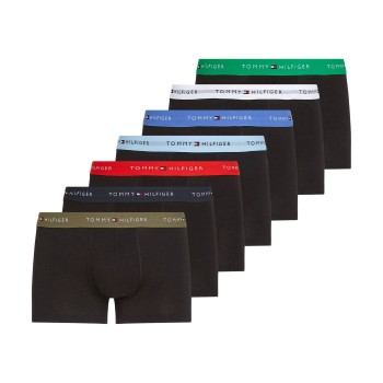 Tommy Hilfiger Trunk WB