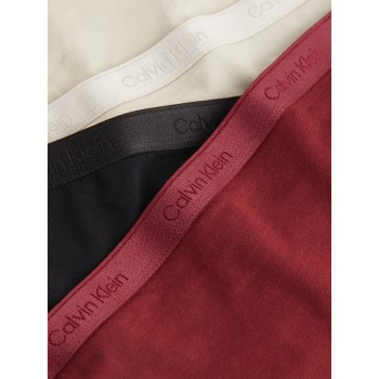 Calvin Klein Modern Logo Holiday Bikini