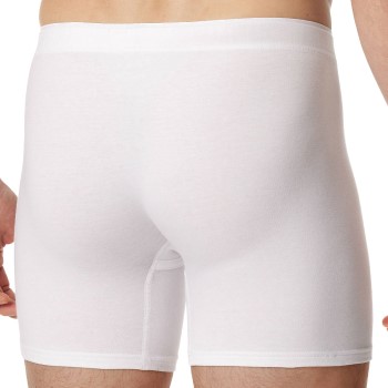 Schiesser Premium Cotton Shorts