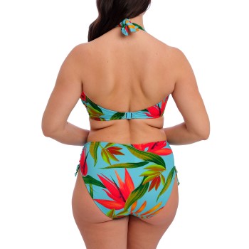Fantasie Pichola High Waist Bikini Brief