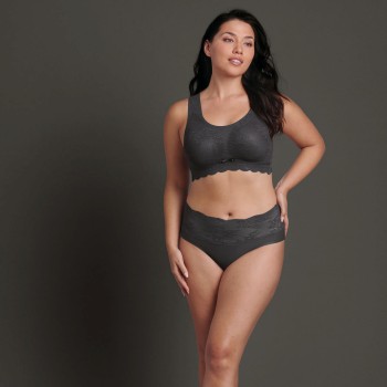 Anita Essential High Waist Lace Briefs