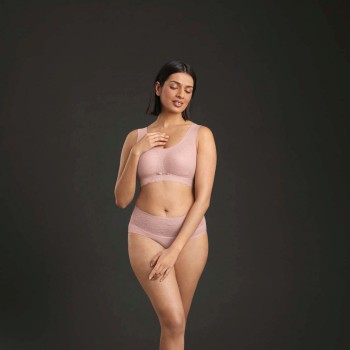 Anita Essential High Waist Lace Briefs