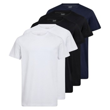 5-Pakning Claudio Cotton T-Shirt