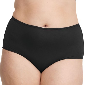Swegmark Essence Maxi Briefs Modal