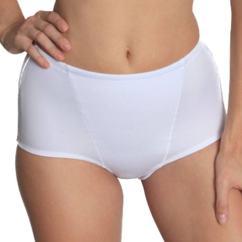 Sassa Basic Control Shaping Brief