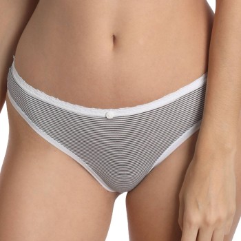 Sassa Stripe Range Brief