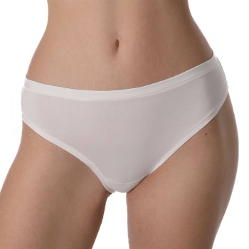 Sassa Daily Love Brief