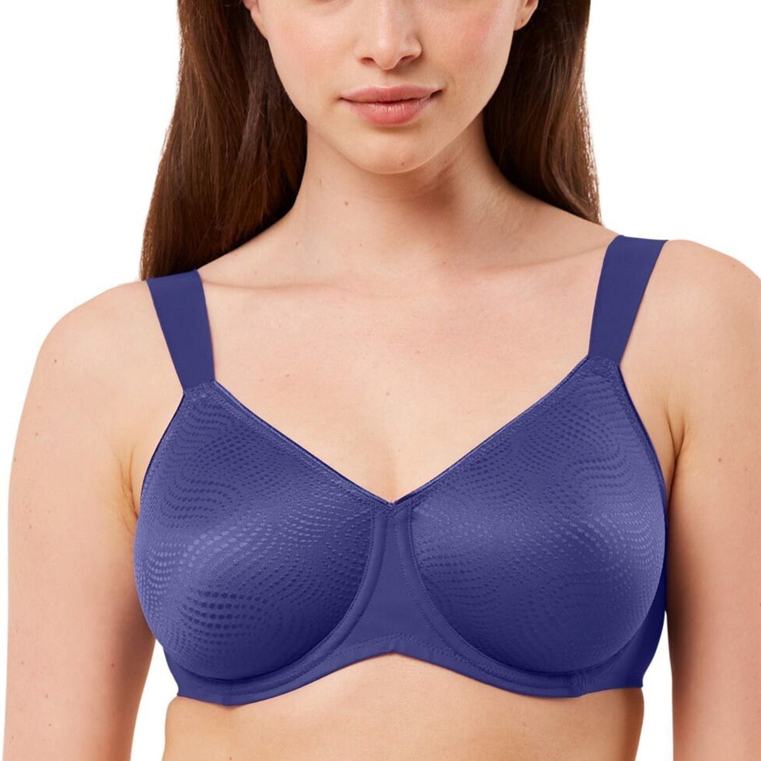 Triumph Essential Minimizer T W X D1